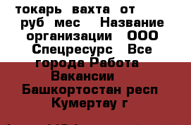 токарь. вахта. от 50 000 руб./мес. › Название организации ­ ООО Спецресурс - Все города Работа » Вакансии   . Башкортостан респ.,Кумертау г.